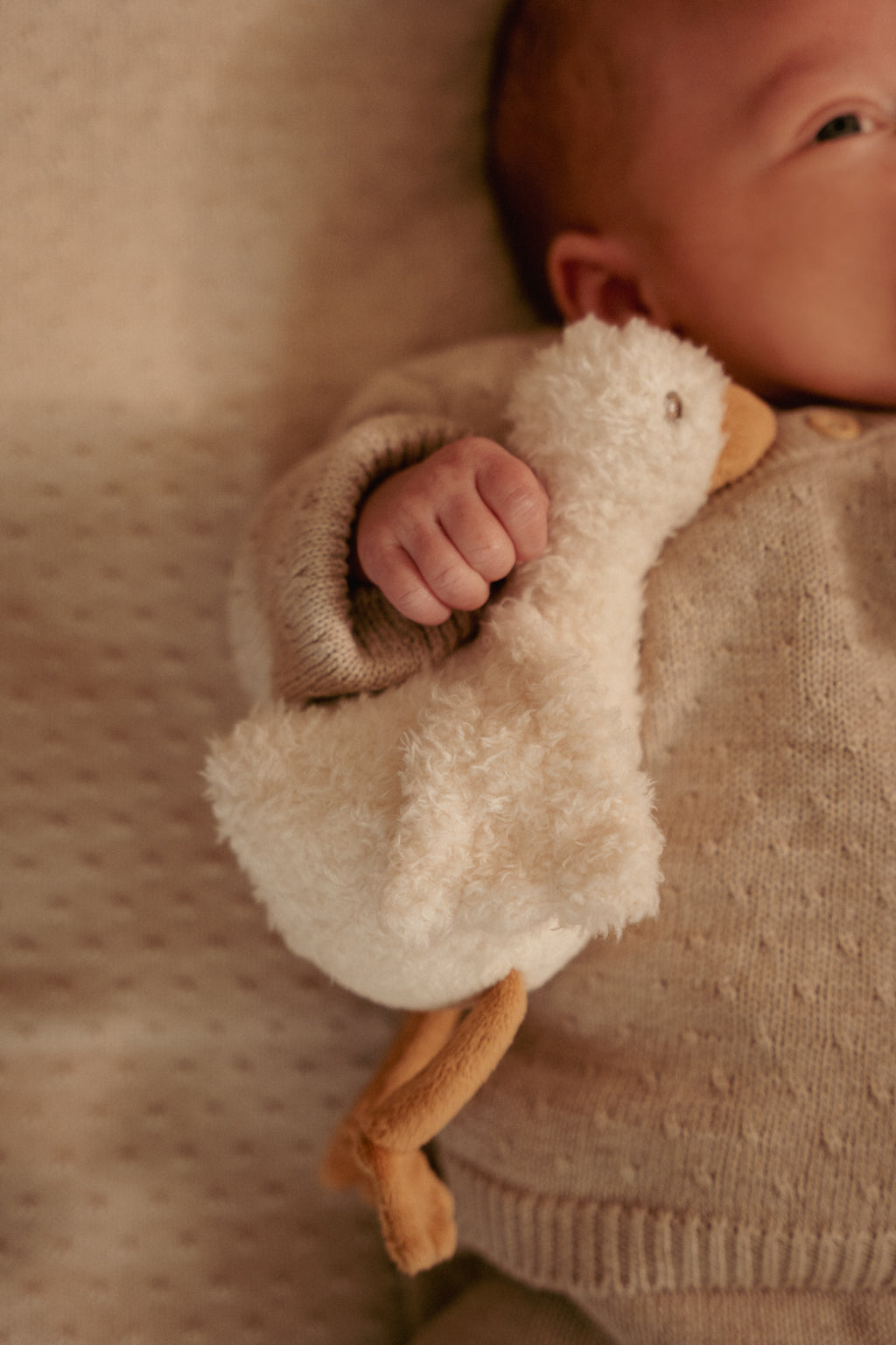 Coffret cadeau | Newborn