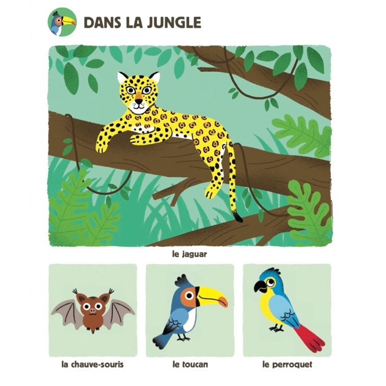 Livre sonore | Mon grand imagier sonore